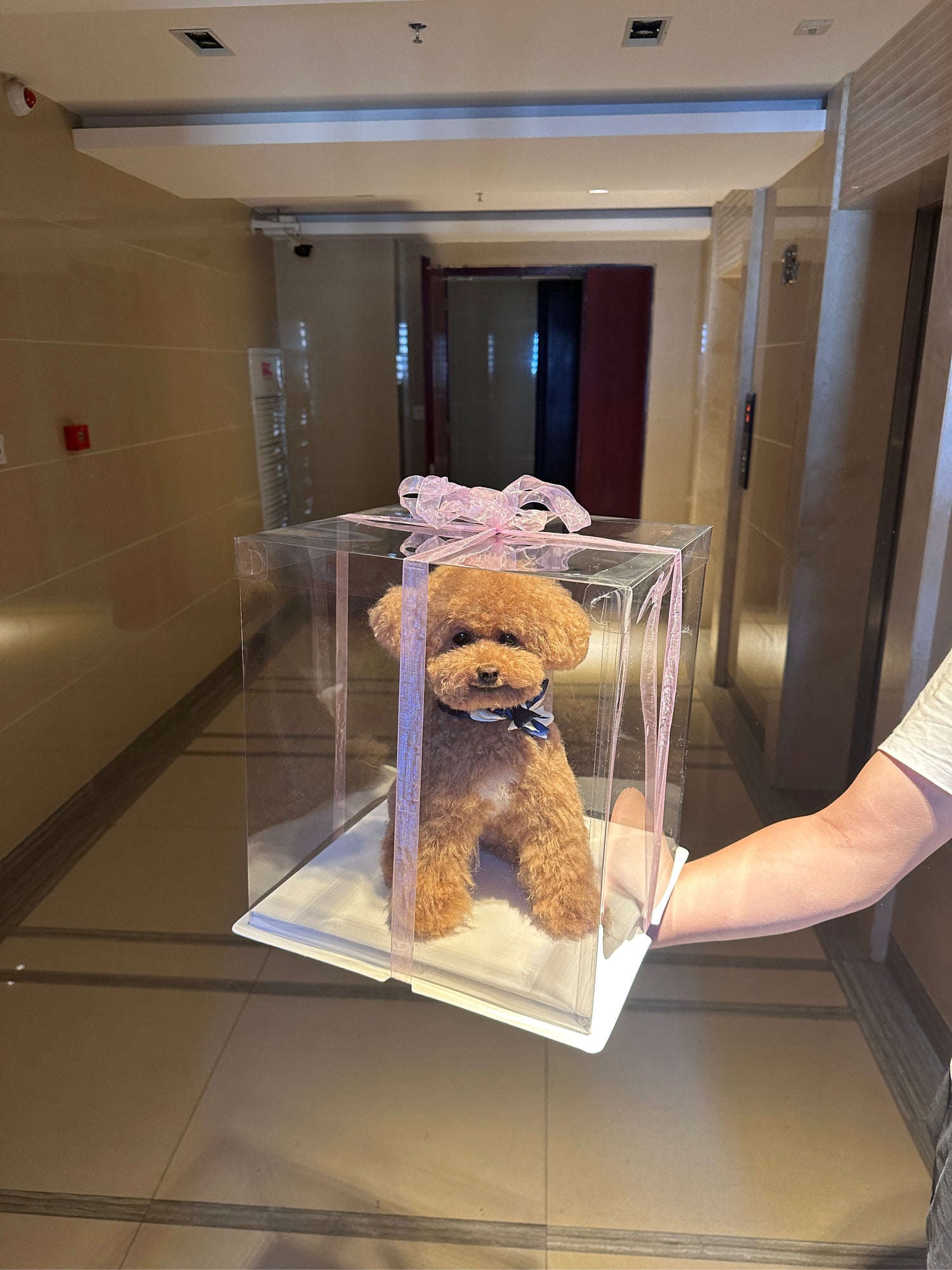 lookbook image shop_this_look_BgNMcW